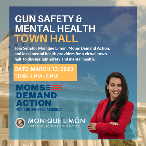 Gun Safety and Mental Health Graphic